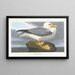 Fulmar petrel - John James Audubon — framed artwork on a wall