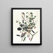 Northern Shrike, Audubon Plate 192 — framed art print