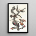 Pic chevelu Pic à ventre rouge Pic à ailes rouges Pic de Lewis Pic à poitrine rouge - John James Audubon — ingelijst kunstwerk aan de muur