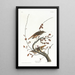 Grive solitaire - John James Audubon — ingelijst kunstwerk aan de muur