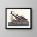Huppelende Eend - John James Audubon — ingelijst kunstwerk aan de muur
