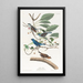 Passerin indigo - John James Audubon — ingelijst kunstwerk aan de muur