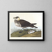 Jager - John James Audubon — ingelijst kunstwerk aan de muur