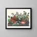 Colombe de Key West - John James Audubon — ingelijst kunstwerk aan de muur