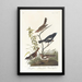 Bruant des prés Bruant des prairies Moineau chanteur brun - John James Audubon — ingelijst kunstwerk aan de muur