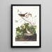 Bruant de Lincoln - John James Audubon — ingelijst kunstwerk aan de muur