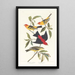 Tangara de Louisiane Tangara écarlate - John James Audubon — ingelijst kunstwerk aan de muur