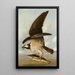 Balbuzard et Poisson faible - John James Audubon — ingelijst kunstwerk aan de muur