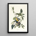 Paruline des palmiers - John James Audubon — ingelijst kunstwerk aan de muur