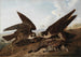 Peregrine Falcons - John James Audubon — artwork view