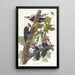 Pic à tête rouge - John James Audubon — ingelijst kunstwerk aan de muur