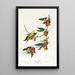 Paruline de Rathbone - John James Audubon — ingelijst kunstwerk aan de muur