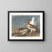 Groep rots - John James Audubon — ingelijst kunstwerk aan de muur