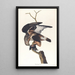 Faucon à pattes ruggeuses - John James Audubon — ingelijst kunstwerk aan de muur