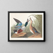 Eend Souchet - John James Audubon — ingelijst kunstwerk aan de muur