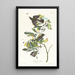 Klein moucherolle met groene kruin - John James Audubon — ingelijst kunstwerk aan de muur