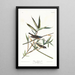 Moucherolle solitaire of viréo - John James Audubon — ingelijst kunstwerk aan de muur