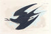 Sterne fuligineuse - John James Audubon — artwork view