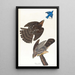 Faucon de Stanley - John James Audubon — ingelijst kunstwerk aan de muur