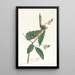 Paruline de Swainson - John James Audubon — ingelijst kunstwerk aan de muur