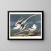 Tropische Vogel - John James Audubon — ingelijst kunstwerk aan de muur