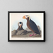 Zeearend - John James Audubon — ingelijst kunstwerk aan de muur