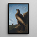 Aigle de mer de Washington - John James Audubon — ingelijst kunstwerk aan de muur
