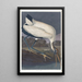 Ibis des bois - John James Audubon — ingelijst kunstwerk aan de muur