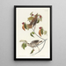 Grive des bois - John James Audubon — ingelijst kunstwerk aan de muur
