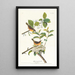 Paruline à poitrine jaune - John James Audubon — ingelijst kunstwerk aan de muur