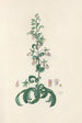 Digitalium monographia Pl05 - John Lindley — weergave van het kunstwerk