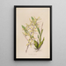 Sertum orchidaceum Une couronne des plus belles fleurs orchidées Pl07 - John Lindley — ingelijst kunstwerk aan de muur
