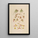 Sertum orchidaceum Une couronne des plus belles fleurs orchidées Pl08 - John Lindley — ingelijst kunstwerk aan de muur