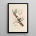 Sertum orchidaceum Une couronne des plus belles fleurs orchidées Pl11 - John Lindley — ingelijst kunstwerk aan de muur