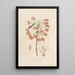 Sertum orchidaceum Une couronne des plus belles fleurs orchidées Pl13 - John Lindley | Reproduction — ingelijst kunstwerk aan de muur