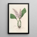 Sertum orchidaceum Une couronne des plus belles fleurs orchidées Pl24 - John Lindley — ingelijst kunstwerk aan de muur
