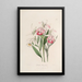 Sertum orchidaceum Une couronne des plus belles fleurs orchidées Pl29 - John Lindley — ingelijst kunstwerk aan de muur