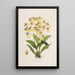 Sertum orchidaceum Une couronne des plus belles fleurs orchidées Pl39 - John Lindley | Reproduction — ingelijst kunstwerk aan de muur