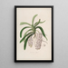 Sertum orchidaceum Une couronne des plus belles fleurs orchidées Pl47 - John Lindley — ingelijst kunstwerk aan de muur