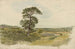 Landschapschilderij in Snowdonia met een boom op de voorgrond - John Linnell — weergave van het kunstwerk
