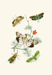 Het cabinet d'entomologie orientale Pl IV - John Obadiah Westwood — weergave van het kunstwerk