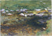 Ruisseau en prairie - John Singer Sargent — weergave van het kunstwerk