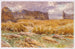 Champ Camouflé in Frankrijk - John Singer Sargent — weergave van het kunstwerk