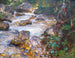 Ruisseau de truites dans le Tyrol - John Singer Sargent — weergave van het kunstwerk