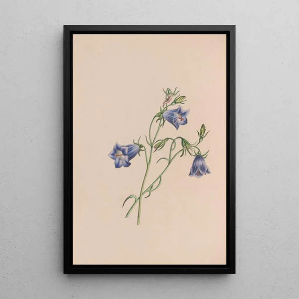 John Stevens Henslow - Everlasting.webp