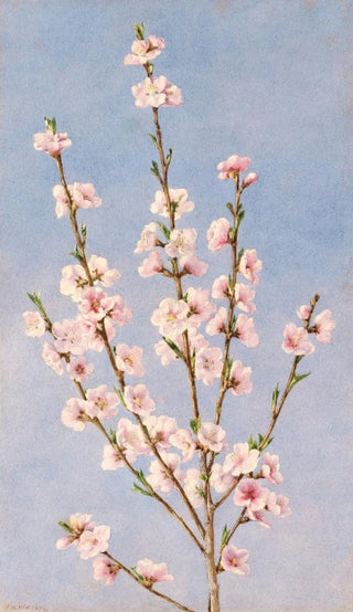 John William Hill - Peach Blossoms.webp