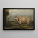 Een jonge stier - John Woodhouse Audubon — ingelijst kunstwerk aan de muur