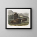 Bison américain 1 femelle 2 jeunes 3 mâles - John Woodhouse Audubon — ingelijst kunstwerk aan de muur