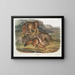 Loup des prairies mâle - John Woodhouse Audubon — ingelijst kunstwerk aan de muur