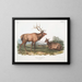 Eland Canadese mannetje en vrouwtje - John Woodhouse Audubon — ingelijst kunstwerk aan de muur